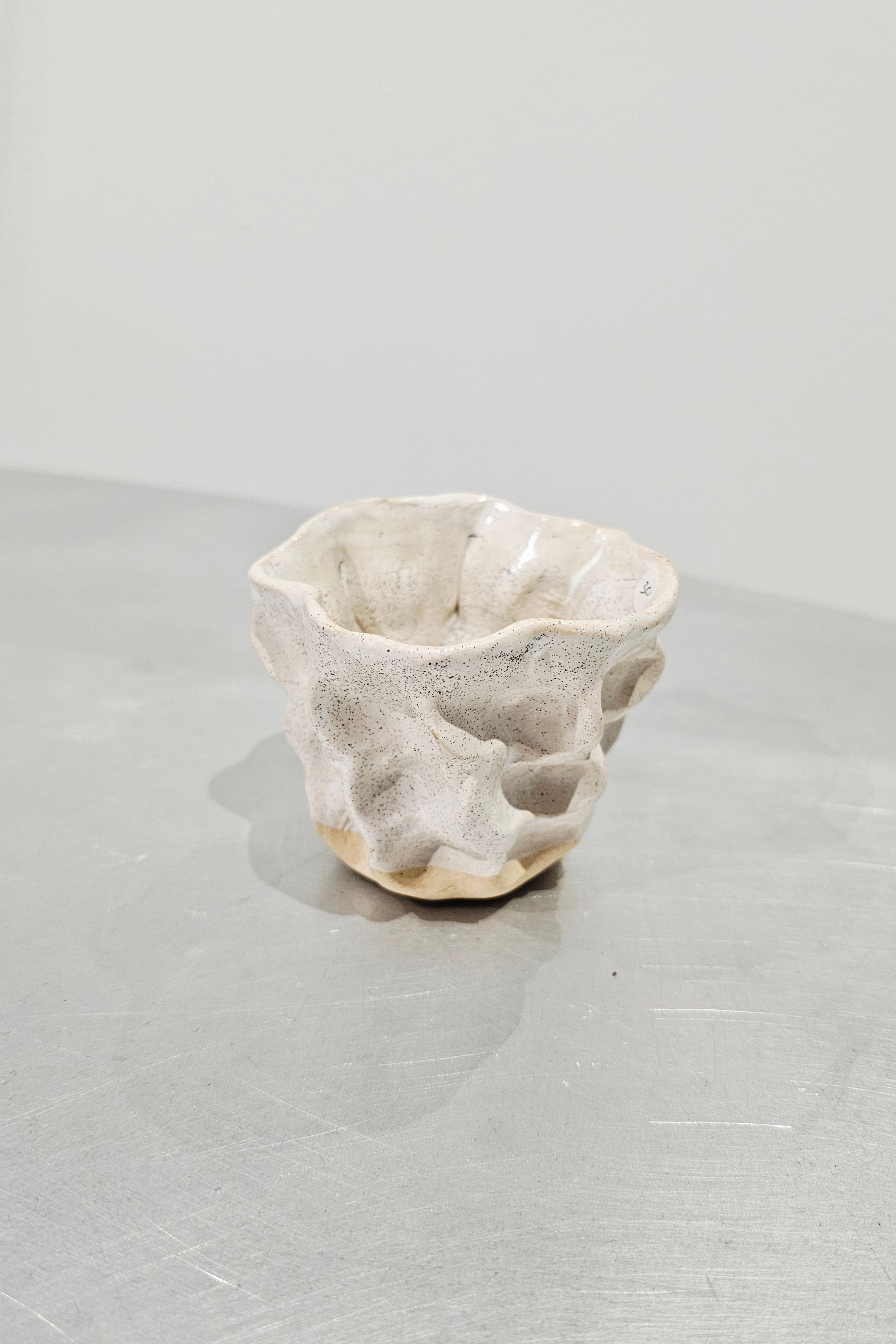 MOREL CUP SMALL