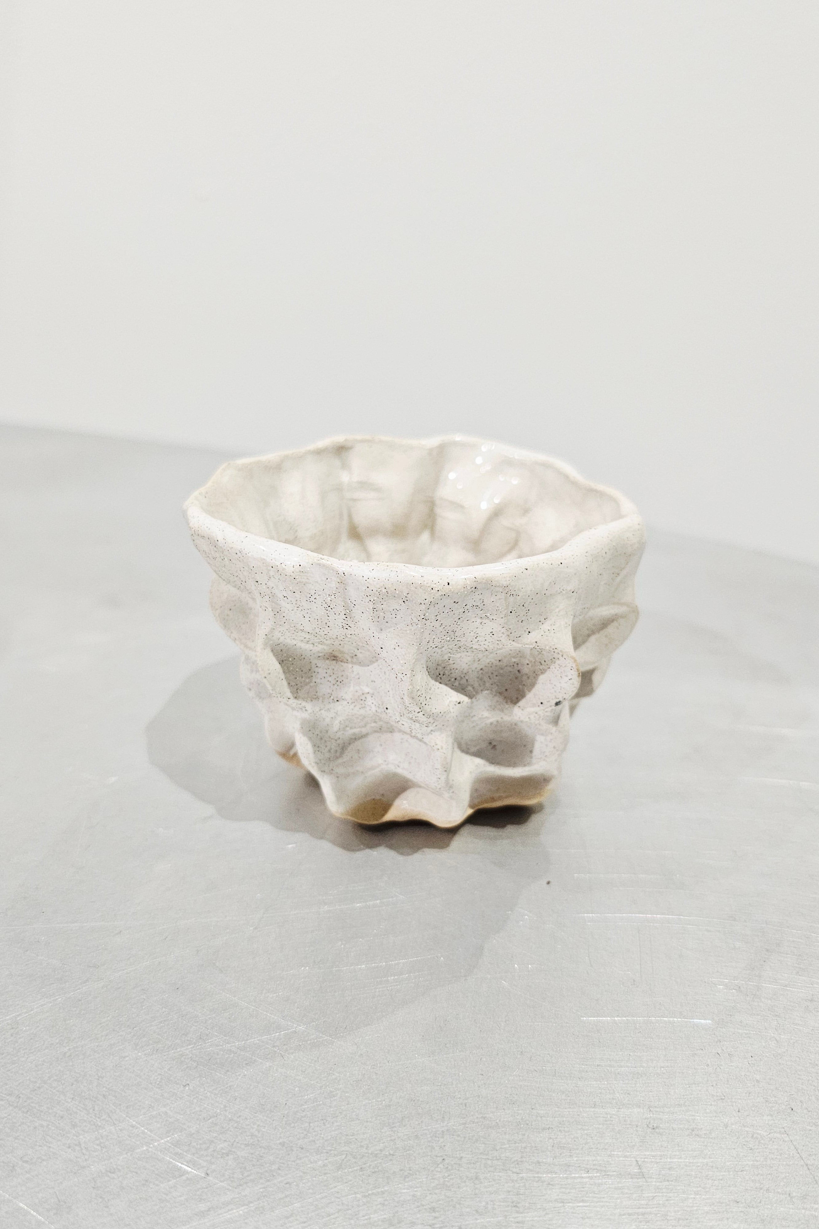 MOREL CUP