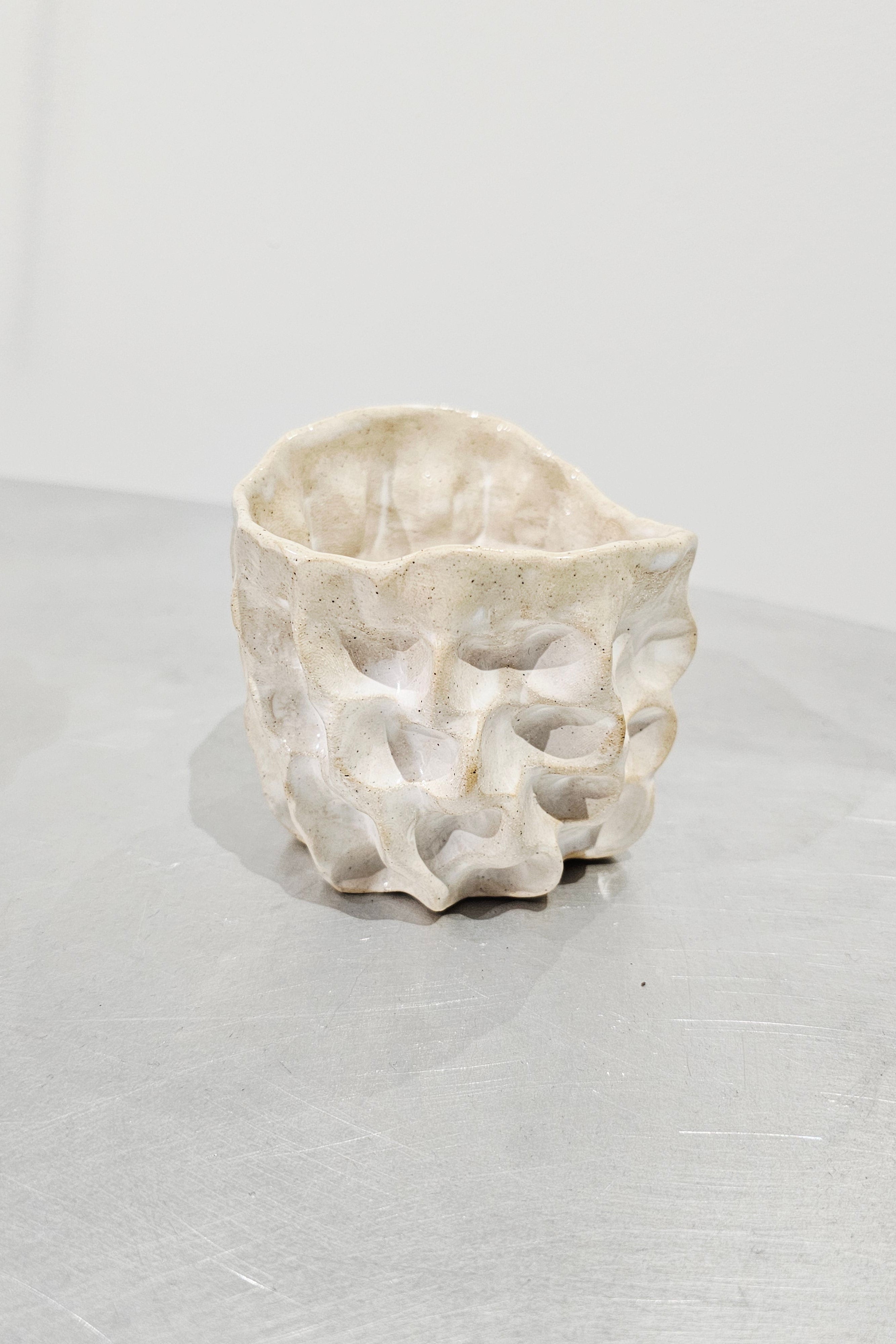 MOREL CUP