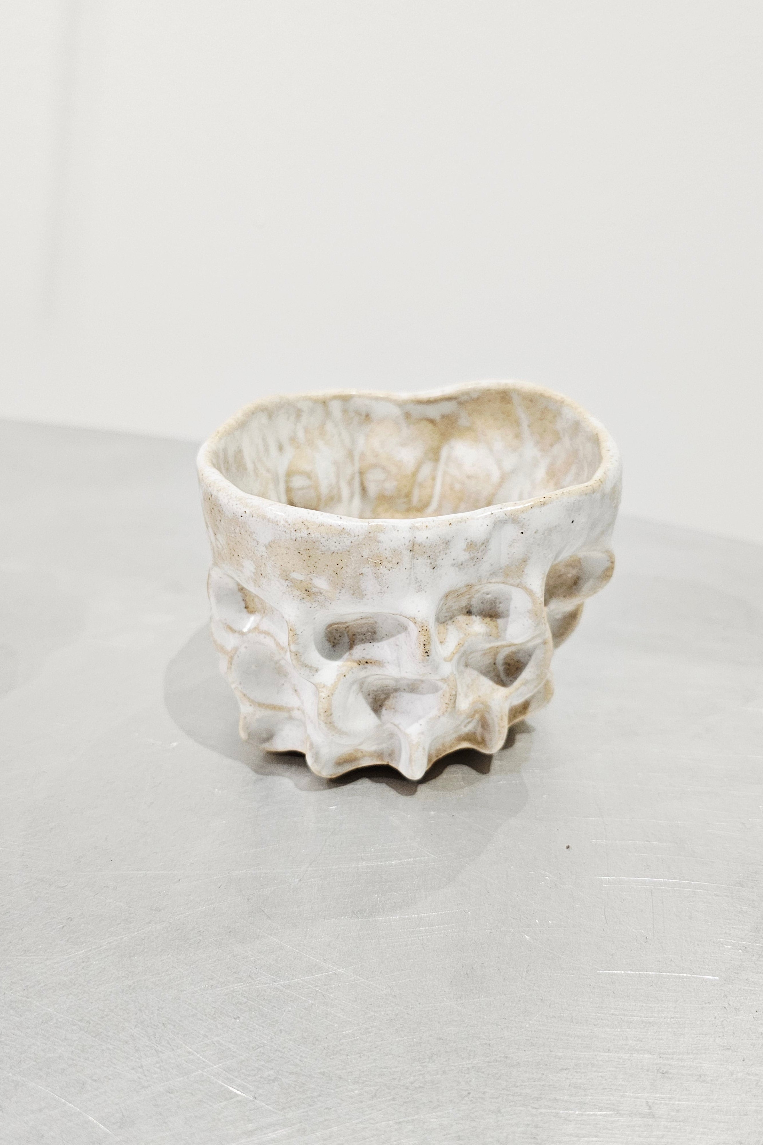 MOREL CUP